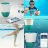 Ico misuratore elettronico aqua piscina WIFI