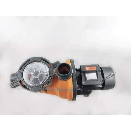 Dettaglio bocca mandata Pompa per piscina per filtro a sabbia 18 m3 Glong autoadescante FCP750S irrifarma.it