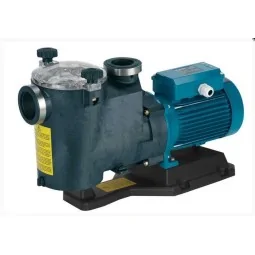 Pompa piscina autoadescante Calpeda MPCM 31 1 HP 230V con prefiltro – 18 m³/h irrifarma.it