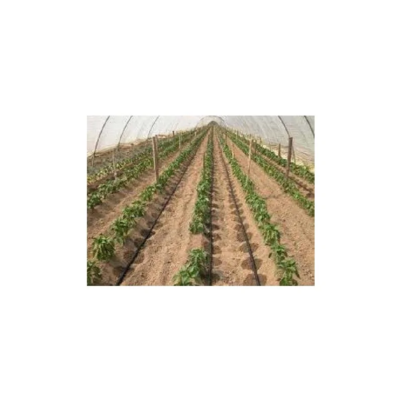 esempi di applicazione Tubo irrigazione a goccia Manichetta gocciolante DG 20 100 M Aquadrop irrifarma.it