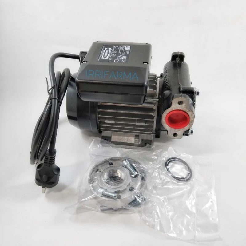 dettagli accessori e raccordi corpo pompa frontale Pompa travaso gasolio Panther 90 220v DC Piusi irrifarma.it