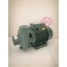 Elettropompa Centrifuga Monogirante BP SAER 2" irrifarma.it
