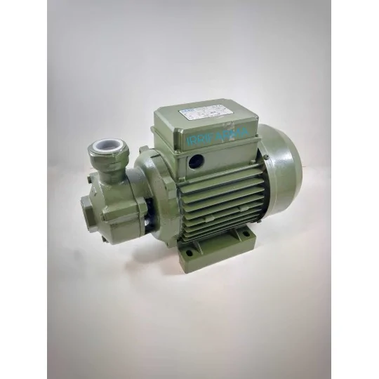 Elettropompa a Canale Periferico Pompa SAER KF3 0,75 Hp 230v