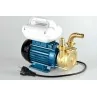 Elettropompa Autoadescante EEM 20 in ottone 220V Tellarini irrifarma.it