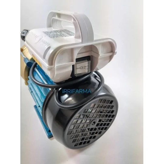 Dettaglio tasto on off Pompa per travaso vino Autoadescante e Reversibile Tellarini EEM 30 220V irrifarma.it