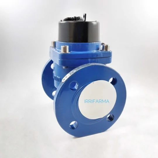 Dettaglio flangia Contatore acqua flangiato Maddalena WT DN80 3" per pozzo uso agricolo irrifarma.it