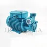 Dettaglio bocca di aspirazione Pompa Periferica Calpeda TM 70/A per acque pulite irrifarma.it