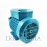 Dettaglio ventola di raffreddamento Pompa Periferica Calpeda TM 70/A per acque pulite irrifarma.it