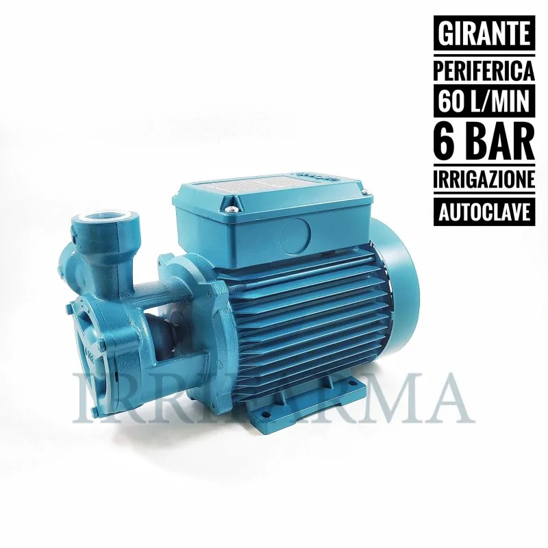 Dettagli tecnici Pompa Periferica Calpeda TM 70/A per acque pulite irrifarma.it
