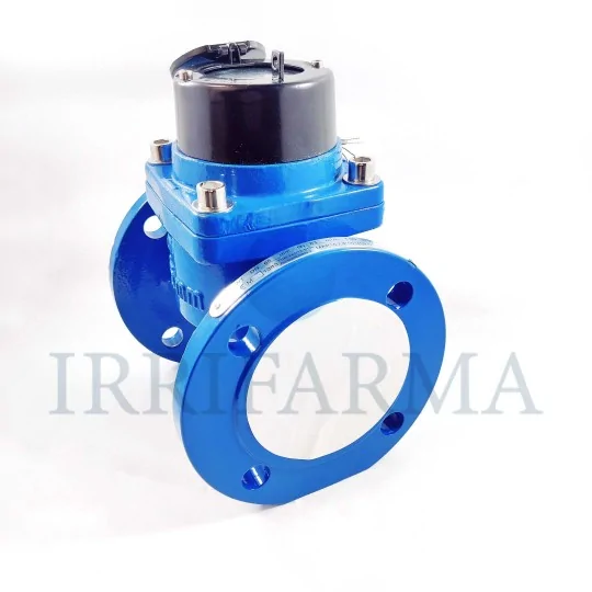Dettaglio flangia Contatore acqua uso agricolo flangiato Maddalena WT DN65 2"1/2 per pozzo irrifarma.it