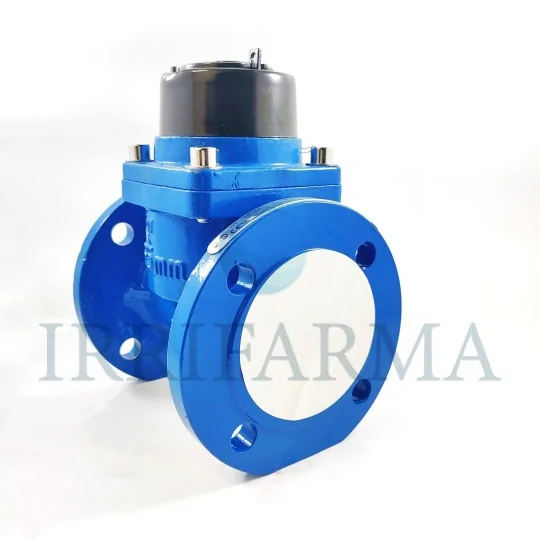 Dettaglio flangia Contatore acqua uso agricolo flangiato Maddalena WT DN65 2"1/2 per pozzo irrifarma.it