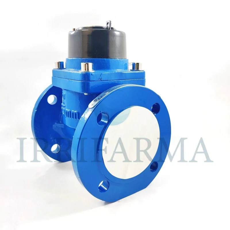 Dettaglio flangia Contatore acqua uso agricolo flangiato Maddalena WT DN65 2"1/2 per pozzo irrifarma.it