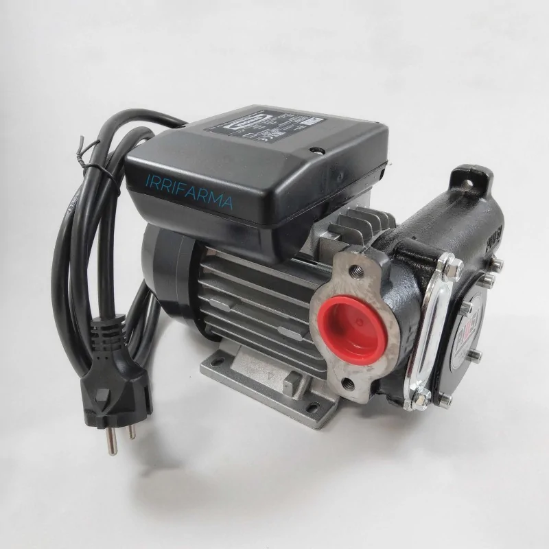 vista laterale dettaglio flangia Pompa travaso Panther 56 L/min per gasolio 220v DC Piusi irrifarma.it