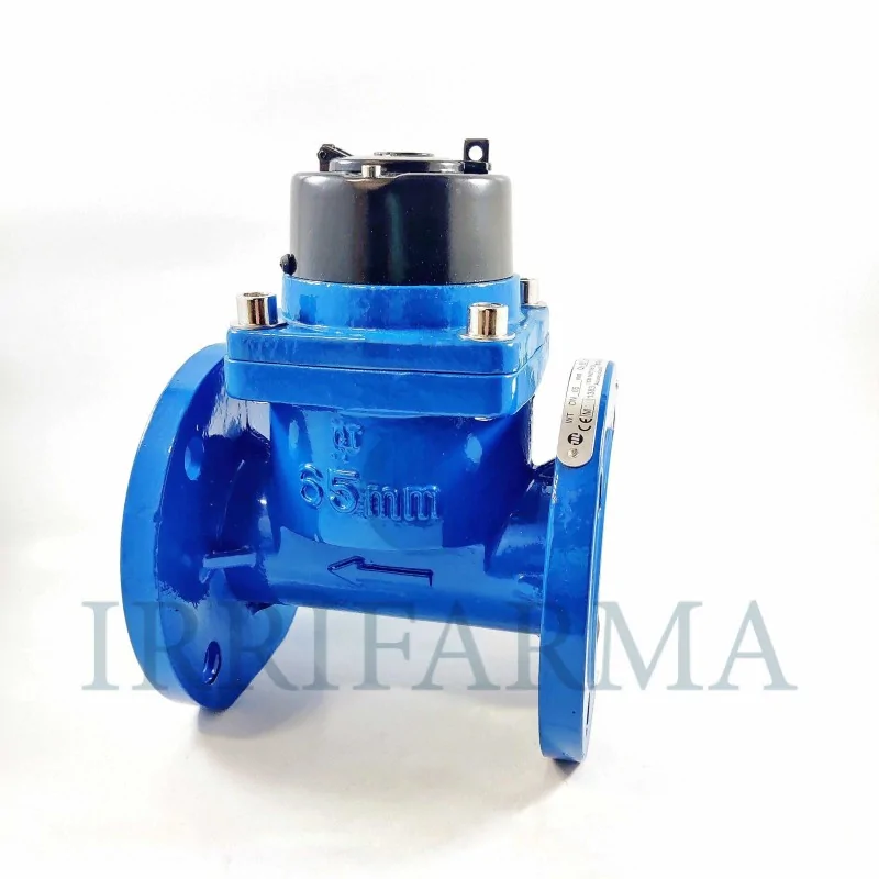 kit Contatore acqua flangiato Maddalena WT Personalizzato irrifarma.it