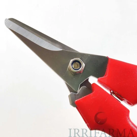 dettaglio lama Forbice cogli frutta e uva professionale 31327 irrifarma.it