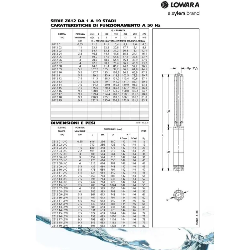 Corpo Pompa per pozzo 275 L/mi Lowara Z612 per motore sommerso 4" e 6"