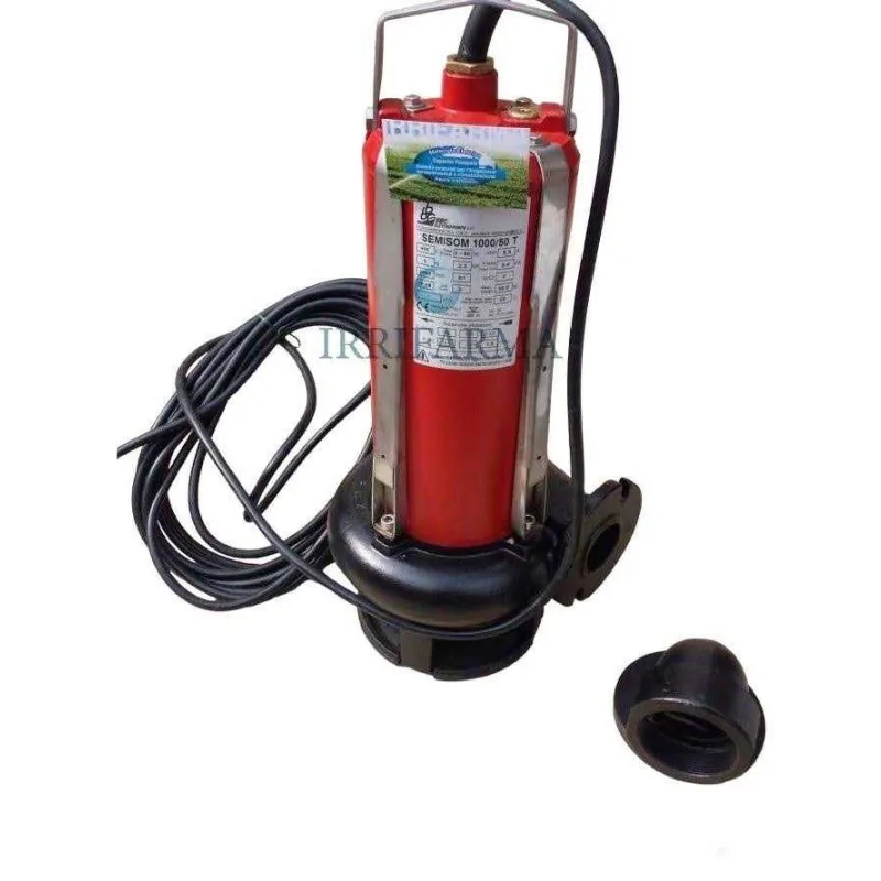 Dettaglio flangia Pompa sommersa Semisom SM/50/1000 acque sporche 3Hp BBC irrifarma.it