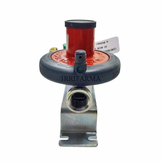 dettaglio ingresso Mini centralina gas 7 kg/h a 2 vie con regolatore irrifarma.it