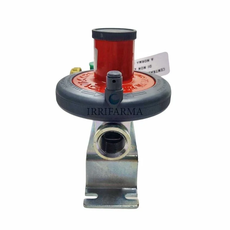 dettaglio ingresso Mini centralina gas 7 kg/h a 2 vie con regolatore irrifarma.it