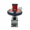 dettaglio ingresso Mini centralina gas 7 kg/h a 2 vie con regolatore irrifarma.it
