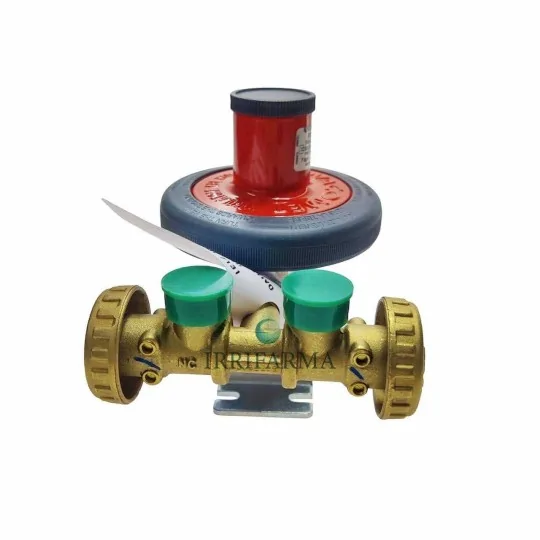dettaglio collettore Mini centralina gas 7 kg/h a 2 vie con regolatore irrifarma.it