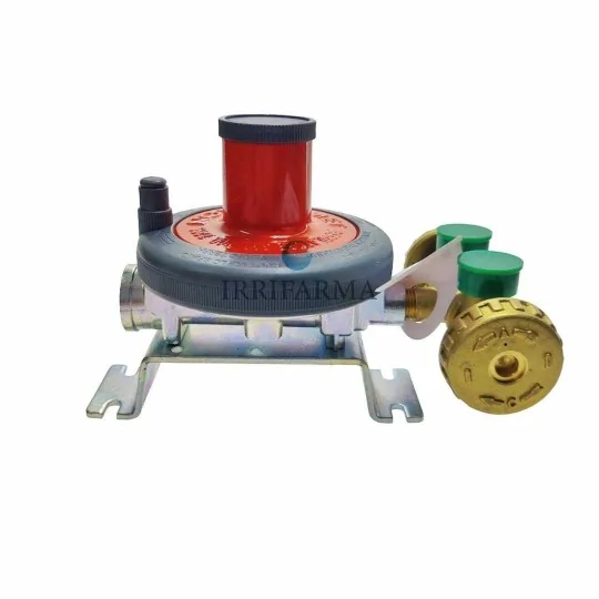 vista laterale Mini centralina gas 7 kg/h a 2 vie con regolatore irrifarma.it