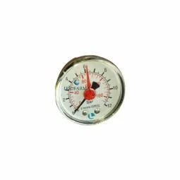 manometro a secco 12 bar attacco posteriore 1/4" Luise irrifarma.it