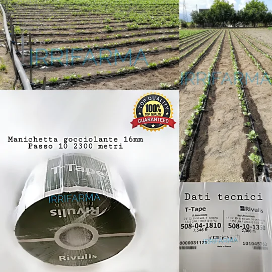 Esempio di applicazione Manichetta gocciolante per irrigazione T-TAPE 507/15 Passo 15 2800 metri Rivulis irrifarma.it