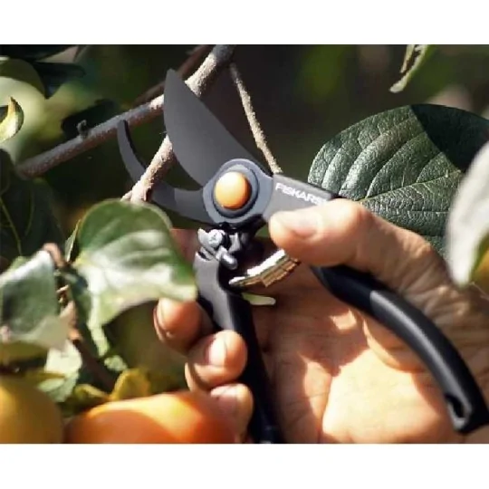 Esempio di applicazione Forbici per potare professionale Fiskars Garden Pro P90 irrifarma.it