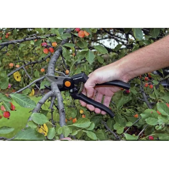 Esempio di applicazione Forbici per potare professionale Fiskars Garden Pro P90 irrifarma.it