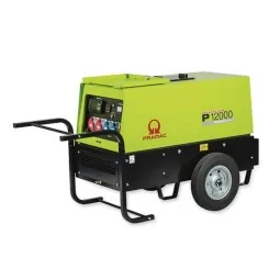 Dettaglio accessori Generatore di corrente Pramac P12000 12 kW benzina con regolatore AVR irrifarma.it
