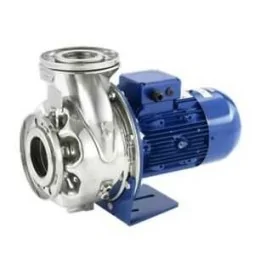 Pompa centrifuga normalizzata ESHE 32-160/15 Lowara AISI 316 380V irrifarma.it