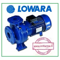 Pompa centrifuga monoblocco LOWARA FHE 50-160/55 7.5 Hp irrifarma.it