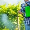 Dettaglio getto Pompa a spalla manuale irroratrice Gaia 20 Litri irrifarma.it
