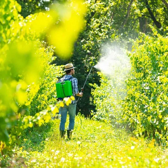 esempio di utilizzo Pompa a spalla manuale irroratrice Gaia 20 Litri irrifarma.it
