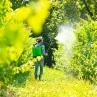 esempio di utilizzo Pompa a spalla manuale irroratrice Gaia 20 Litri irrifarma.it