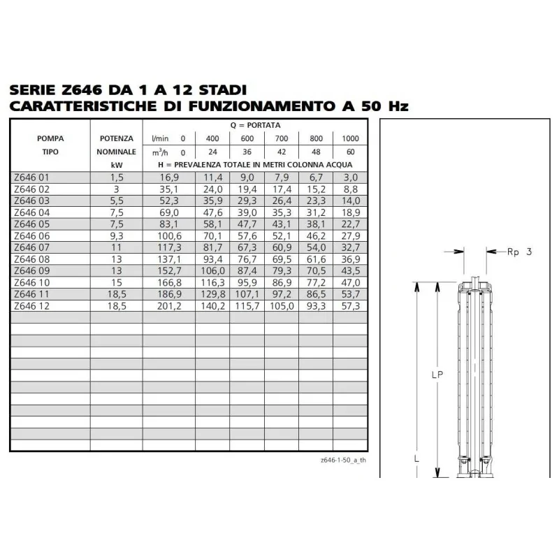 Portate e prevalenze Elettropompa sommersa per pozzi Lowara Z646 1000 L/min Attacco 4" irrifarma.it