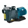 Pompa piscina Calpeda MPC 51 per filtro a sabbia autoadescante 380V 1.5 Hp 30 m3 irrifarma.it