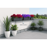 Impianto irrigazione terrazzo e balcone per vasi e fioriere irrifarma.it
