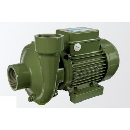 Elettropompa Centrifuga Monogirante BP SAER 2" 660 L/min irrifarma.it