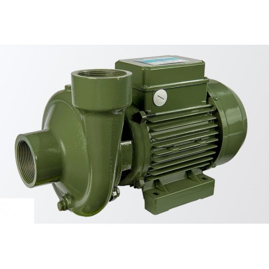 Elettropompa Centrifuga Monogirante BP SAER 2" 660 L/min irrifarma.it