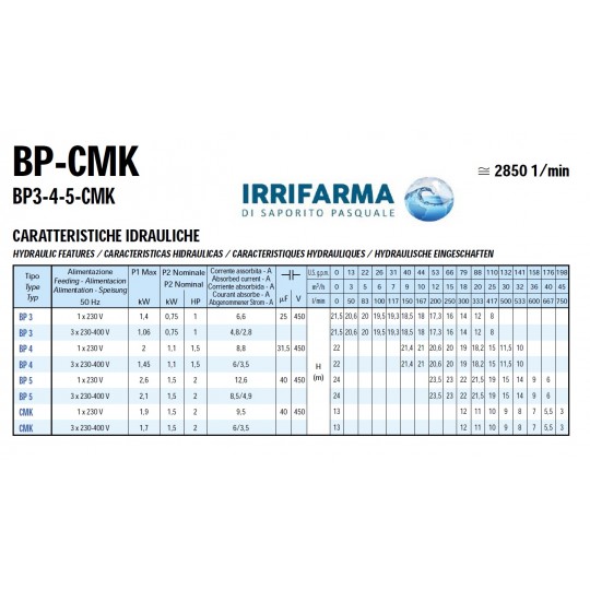 dettagli portate Elettropompa Centrifuga Monogirante BP SAER 2" 660 L/min irrifarma.it