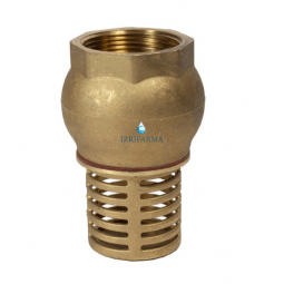 Valvola di fondo per pozzo RIV 2350 con filtro 2"–4" irrifarma.it