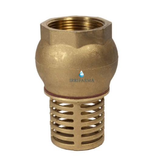 Valvola di fondo per pozzo RIV 2350 con filtro 2"–4" irrifarma.it