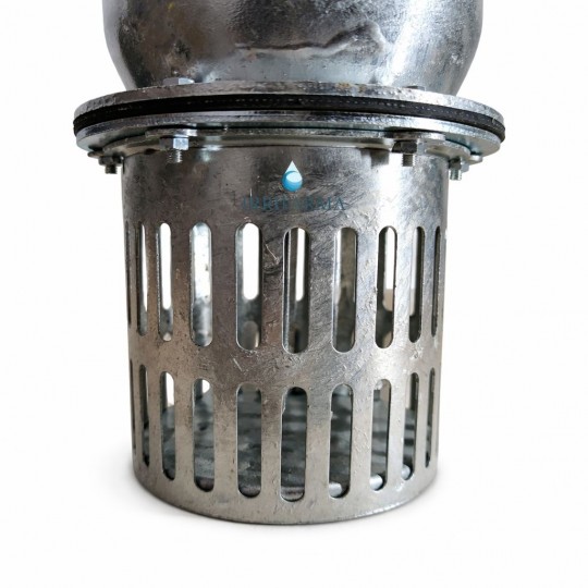 dettaglio succheruola Valvola di fondo portagomma in ferro zincato con leva Ø60–150 irrifarma.it