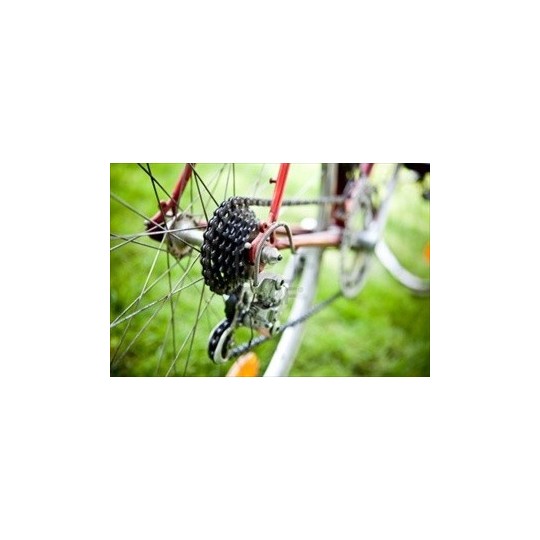 applicazioni Grasso Spray al Litio 300 ml Saratoga per Catene Moto irrifarma.it