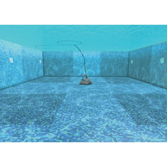 Dettaglio scansione Robot piscina Dolphin Zenit 20 Maytronics – irrifarma.it