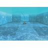 Dettaglio scansione Robot piscina Dolphin Zenit 20 Maytronics – irrifarma.it