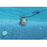 Dettaglio pulizia linea di acqua Robot piscina Dolphin Zenit 20 Maytronics – irrifarma.it