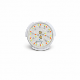 Faretto piscina RGB Ø50 8W 12V AC | VISION Spectra DVS050-RGB irrifarma.it